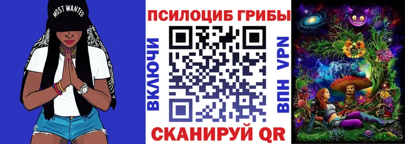 купить  цена  Самара  Псилоцибиновые грибы мицелий 