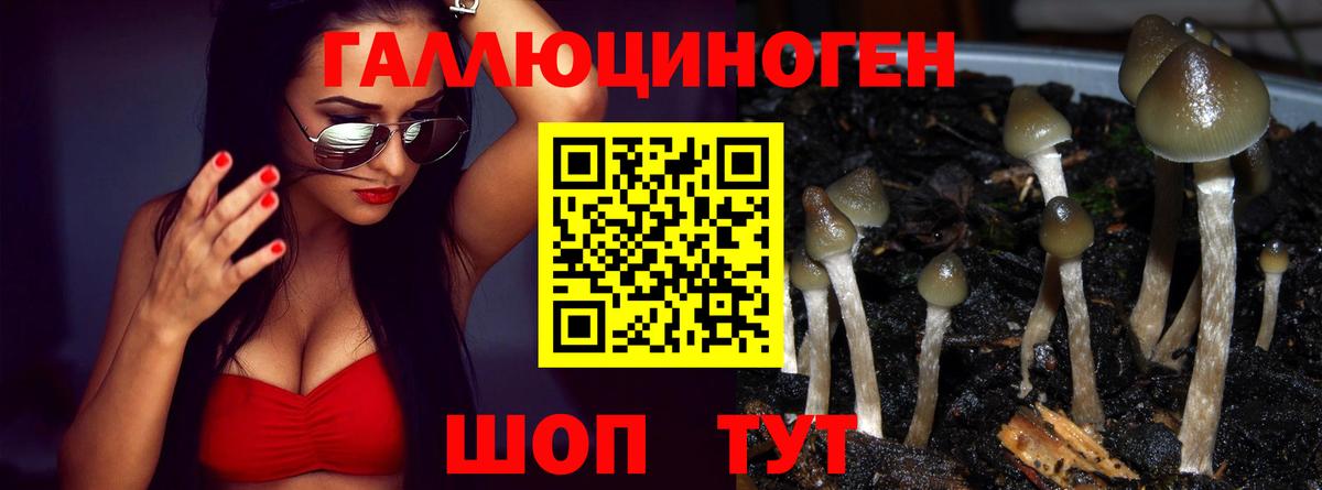 Самара  Псилоцибиновые грибы MAGIC MUSHROOMS  Вход с VPN 