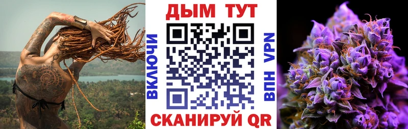 Бошки Шишки планчик Самара